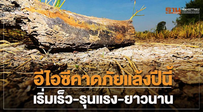 อีไอซีคาดภัยแล้งปีนี้ เริ่มเร็ว-รุนแรง-ยาวนาน อีไอซีคาดภัยแล้งปีนี้ เริ่มเร็ว-รุนแรง-ยาวนาน