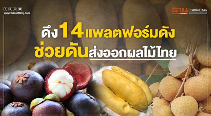 ดึง 14 แพลตฟอร์มดัง ช่วยดันส่งออกผลไม้ไทย ดึง 14 แพลตฟอร์มดัง ช่วยดันส่งออกผลไม้ไทย