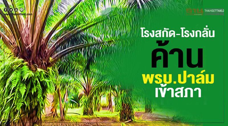 โรงสกัด-โรงกลั่น ค้านพรบ.ปาล์มเข้าสภา โรงสกัด-โรงกลั่น ค้านพรบ.ปาล์มเข้าสภา
