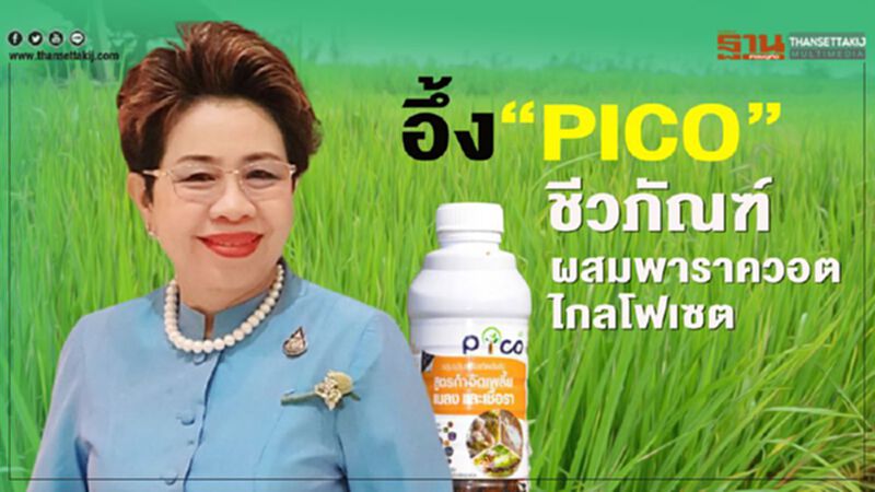 อึ้ง “PICO” ชีวภัณฑ์ผสมพาราควอต-ไกลโฟเซต อึ้ง “PICO” ชีวภัณฑ์ผสมพาราควอต-ไกลโฟเซต