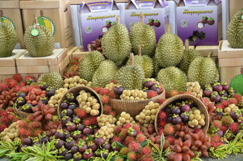 เอ็มโอยูจัดตั้งศูนย์เทคโนโลยีเกษตรและนวัตกรรม