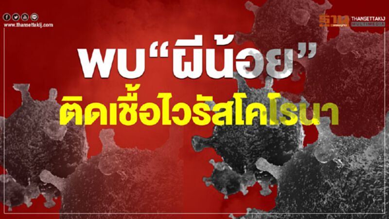 พบ”ผีน้อย”ติดเชื้อไวรัสโคโรนาที่เกาหลี พบ”ผีน้อย”ติดเชื้อไวรัสโคโรนาที่เกาหลี