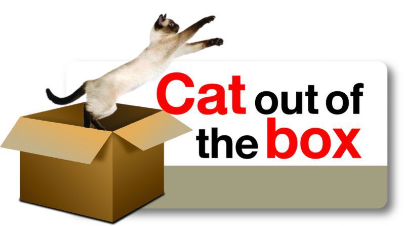 CAT OUT OF THE (RED) BOX : แมว-แผล็ว-กล่อง