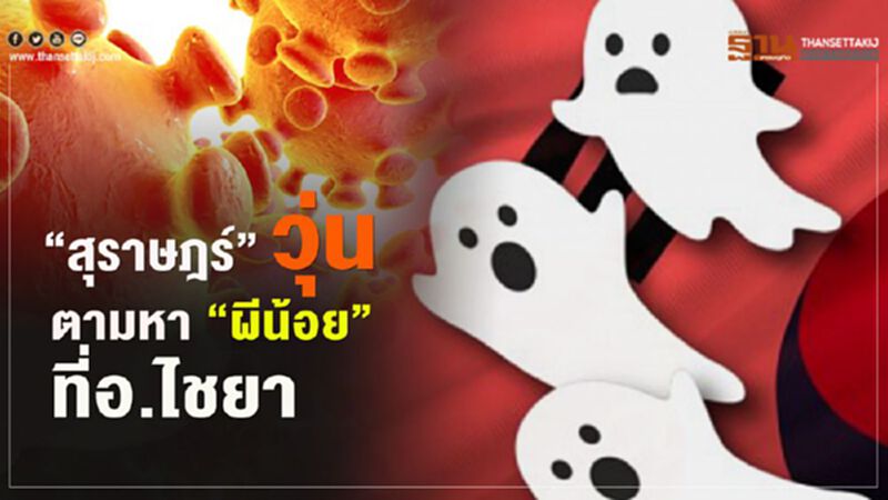 “สุราษฎร์”งดจัดปาร์ตี้ฟูลมูน วุ่นตามหา “ผีน้อย” ที่ไชยา “สุราษฎร์”งดจัดปาร์ตี้ฟูลมูน วุ่นตามหา “ผีน้อย” ที่ไชยา
