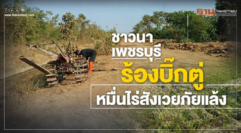 ชาวนาเพชรบุรี ร้องบิ๊กตู่ นาหมื่นไร่พินาศสังเวยแล้ง ชาวนาเพชรบุรี ร้องบิ๊กตู่ นาหมื่นไร่พินาศสังเวยแล้ง