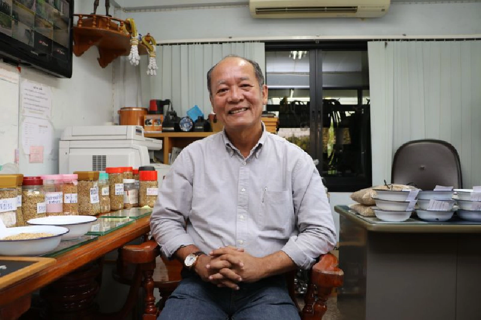 ข้าวเปลือกเจ้าราคาพุ่งแรงสุดในรอบ 3 ปี