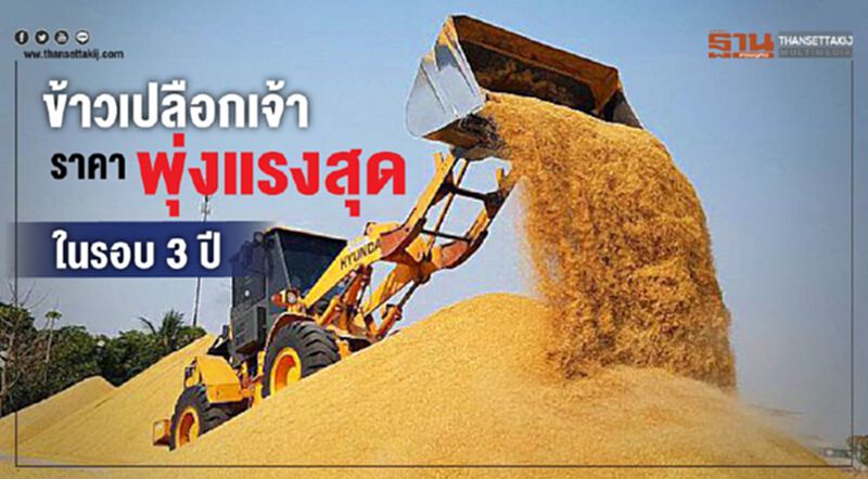 ข้าวเปลือกเจ้าราคาพุ่งแรงสุดในรอบ 3 ปี ข้าวเปลือกเจ้าราคาพุ่งแรงสุดในรอบ 3 ปี