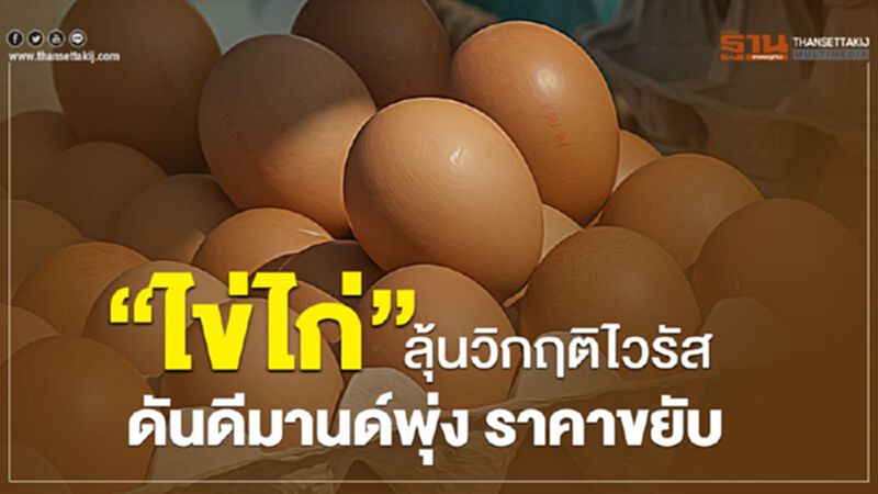 “ไข่ไก่” ลุ้นวิกฤติไวรัสดันดีมานด์พุ่ง ราคาขยับ “ไข่ไก่” ลุ้นวิกฤติไวรัสดันดีมานด์พุ่ง ราคาขยับ