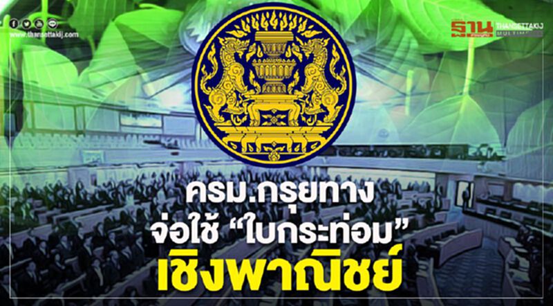 ครม.กรุยทางจ่อใช้“ใบกระท่อม”เชิงพาณิชย์ ครม.กรุยทางจ่อใช้“ใบกระท่อม”เชิงพาณิชย์