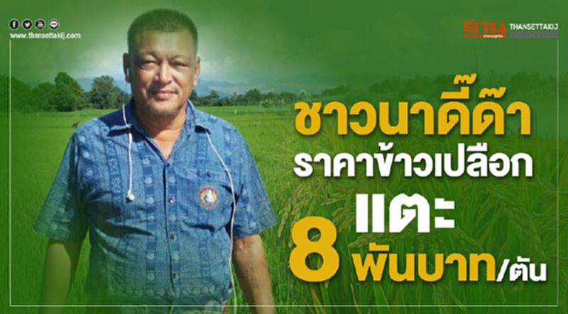 ชาวนาดี๊ด๊าราคาข้าวเปลือกแตะ 8 พันบาท/ตัน ชาวนาดี๊ด๊าราคาข้าวเปลือกแตะ 8 พันบาท/ตัน