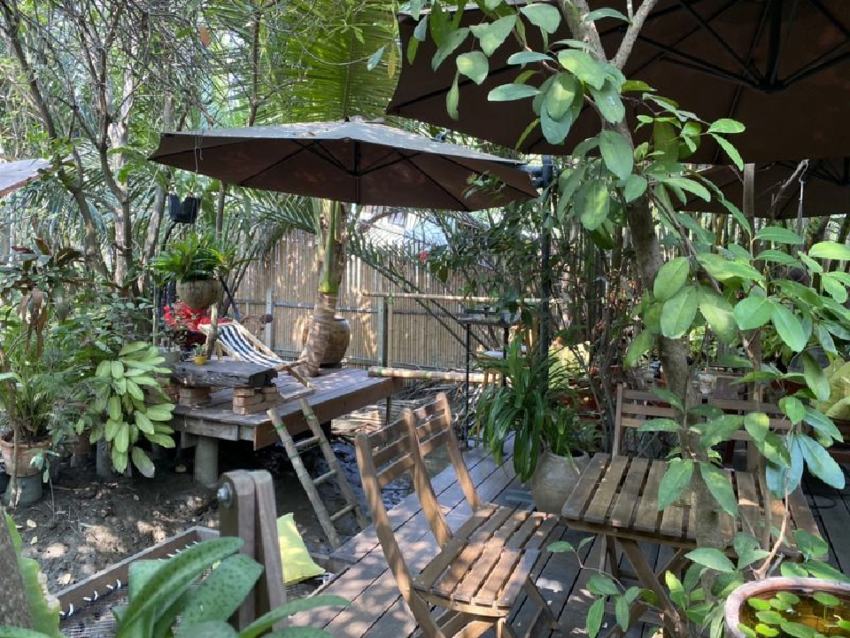 ร้านกาแฟในสวน Hidden Tree  Garden