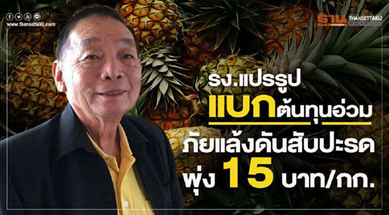 รง.แปรรูปแบกต้นทุนอ่วมภัยแล้งดันสับปะรดพุ่ง 15 บาท/กก. รง.แปรรูปแบกต้นทุนอ่วมภัยแล้งดันสับปะรดพุ่ง 15 บาท/กก.