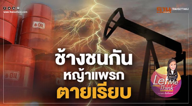 ช้างชนกัน หญ้าแพรกตายเรียบ ช้างชนกัน หญ้าแพรกตายเรียบ