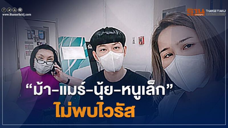 “ม้า-แมร์-นุ้ย-หนูเล็ก”ไม่พบไวรัส “ม้า-แมร์-นุ้ย-หนูเล็ก”ไม่พบไวรัส