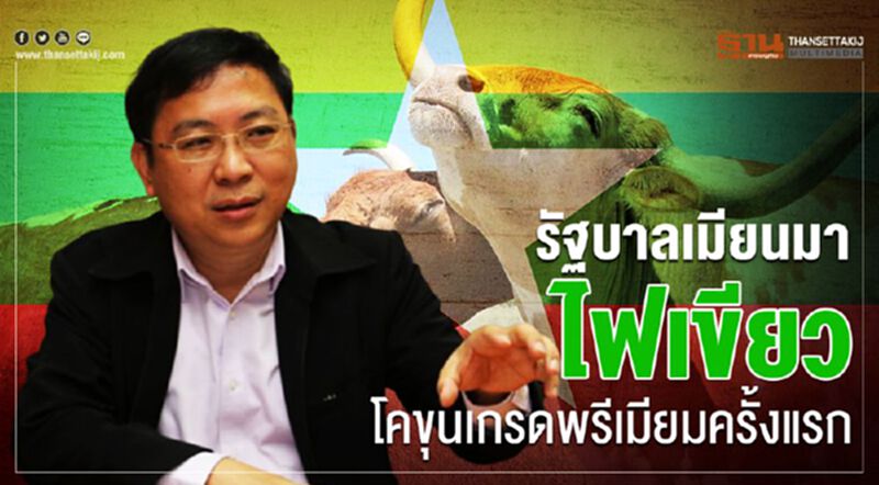 รัฐบาลเมียนมาไฟเขียวโคขุนเกรดพรีเมียมครั้งแรก รัฐบาลเมียนมาไฟเขียวโคขุนเกรดพรีเมียมครั้งแรก