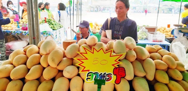 ‘หนองวัวซอ’ ลุ้นออร์เดอร์