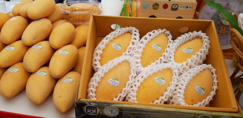 ‘หนองวัวซอ’ ลุ้นออร์เดอร์