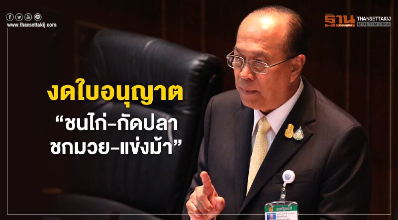 “มท.1”สั่งงดใบอนุญาต"ชนไก่-กัดปลา-ชกมวย-แข่งม้า”