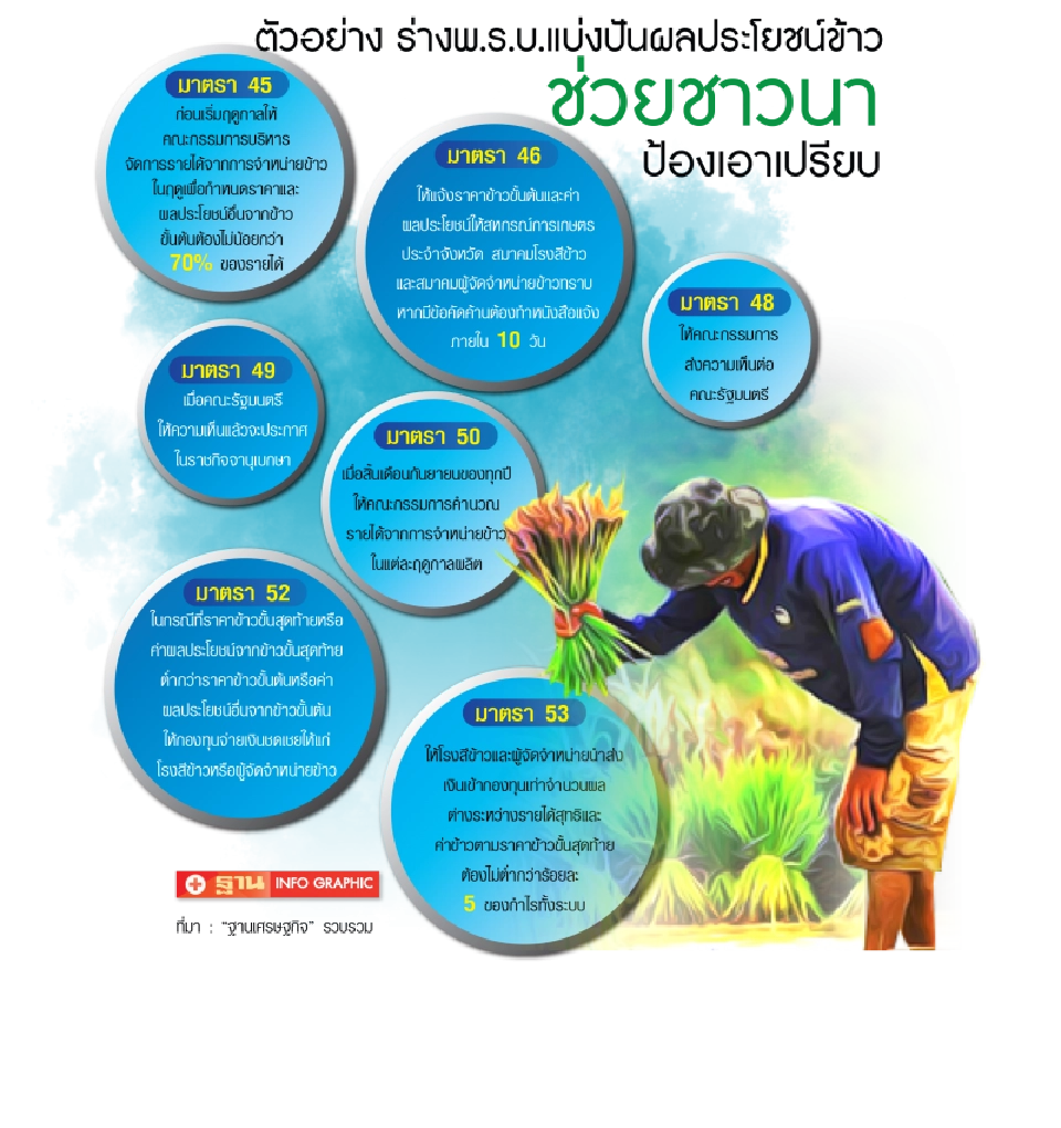 ติงร่าง พ.ร.บ.แบ่งปันผลประโยชน์ข้าว ชาวนาเสียเปรียบแนะยำรวม2ก.ม.