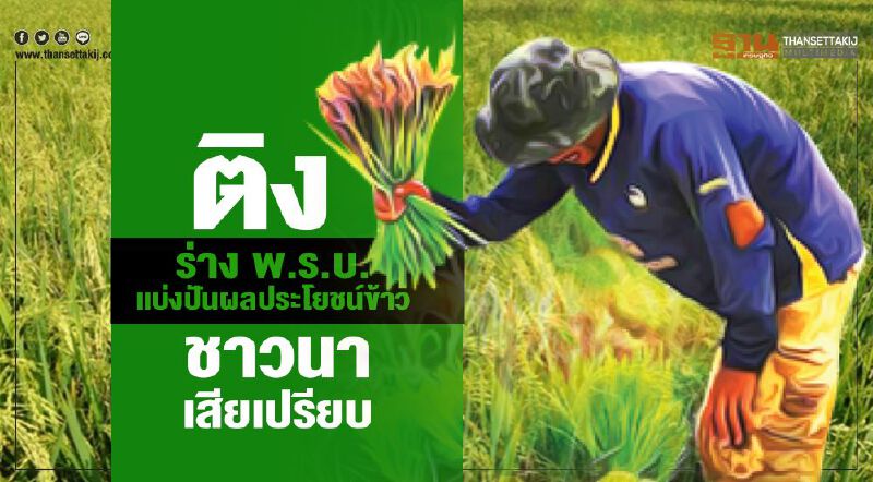 ติงร่าง พ.ร.บ.แบ่งปันผลประโยชน์ข้าว ชาวนาเสียเปรียบแนะยำรวม2ก.ม.