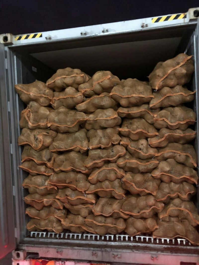 จัดทัพสกัดพืชเกษตรเถื่อนทะลัก