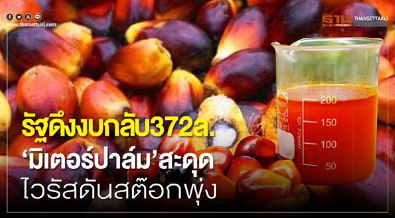 รัฐดึงงบกลับ372ล. ‘มิเตอร์ปาล์ม’สะดุด ไวรัสดันสต๊อกพุ่ง รัฐดึงงบกลับ372ล. ‘มิเตอร์ปาล์ม’สะดุด ไวรัสดันสต๊อกพุ่ง
