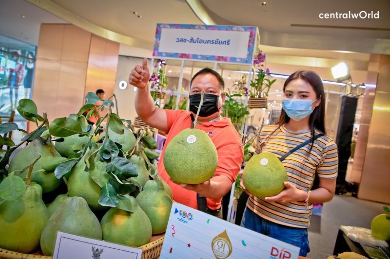 เซ็นทรัล เปิดแผน BCP  สู้โควิด-19 