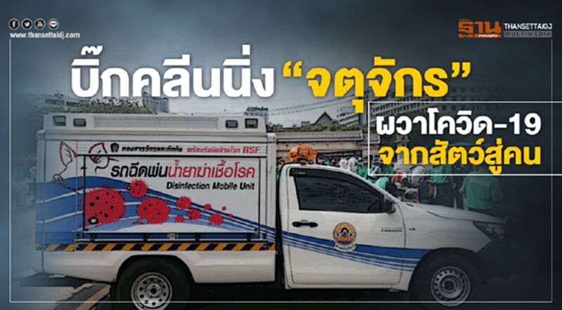 บิ๊กคลีนนิ่ง “จัตุจักร” ผวาโควิด-19จากสัตว์สู่คน บิ๊กคลีนนิ่ง “จัตุจักร” ผวาโควิด-19จากสัตว์สู่คน