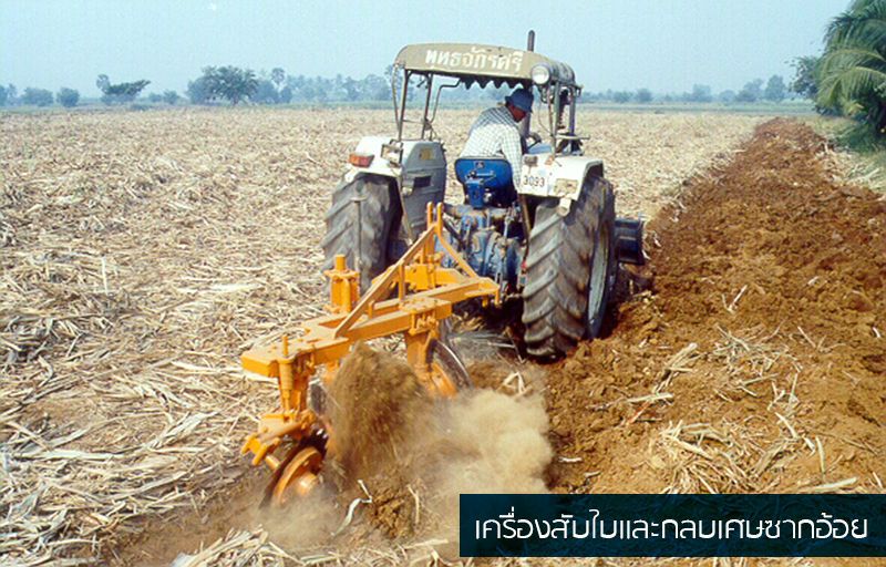 ภัยแล้ง-โควิด ฉุดภาคเกษตร Q1 หดตัว 4.8%