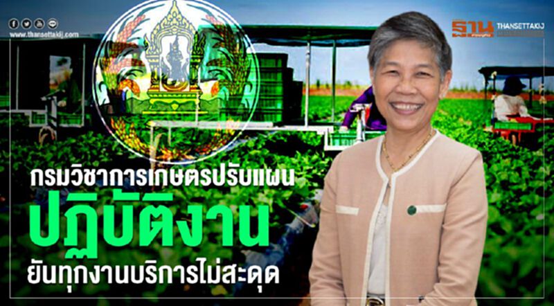 กรมวิชาการเกษตรปรับแผนปฏิบัติงานยันทุกงานบริการไม่สะดุด กรมวิชาการเกษตรปรับแผนปฏิบัติงานยันทุกงานบริการไม่สะดุด
