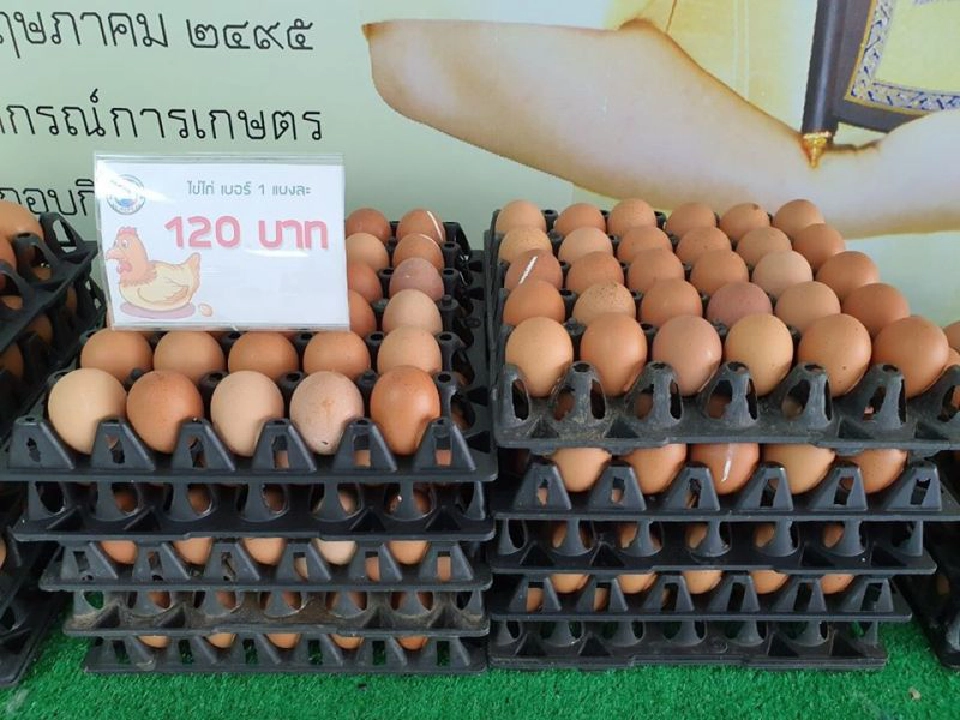 สหกรณ์เปิดรับออเดอร์ผ่านแอบพลิเคชั่นส่งทั่วไทยถึงบ้าน