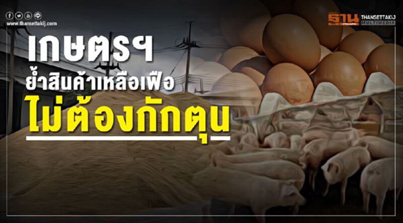 เกษตรฯ ย้ำสินค้าเหลือเฟือไม่ต้องกักตุน เกษตรฯ ย้ำสินค้าเหลือเฟือไม่ต้องกักตุน