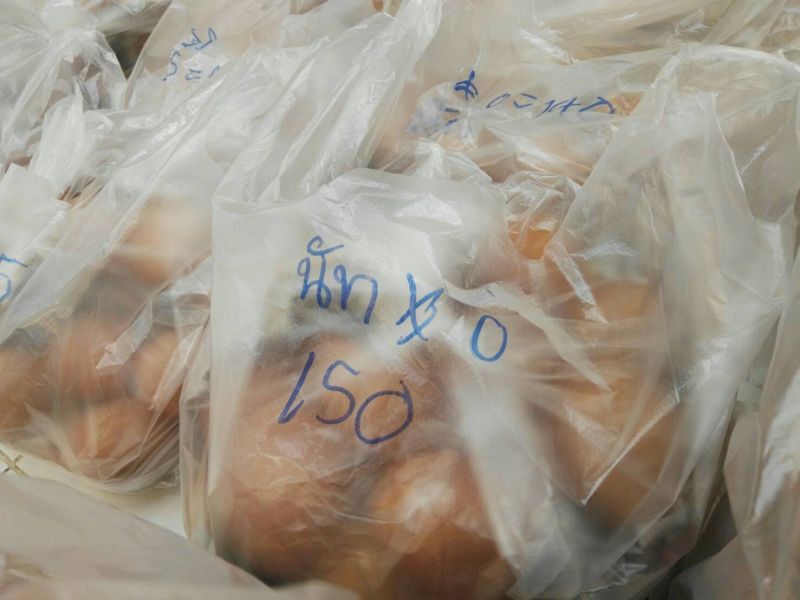  ยืดอายุการเลี้ยงแม่ไก่ยืนกรง เพิ่มปริมาณไข่