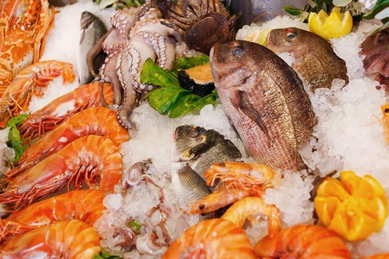 ยันไม่พบการระบาดโรคโควิดในสัตว์น้ำ