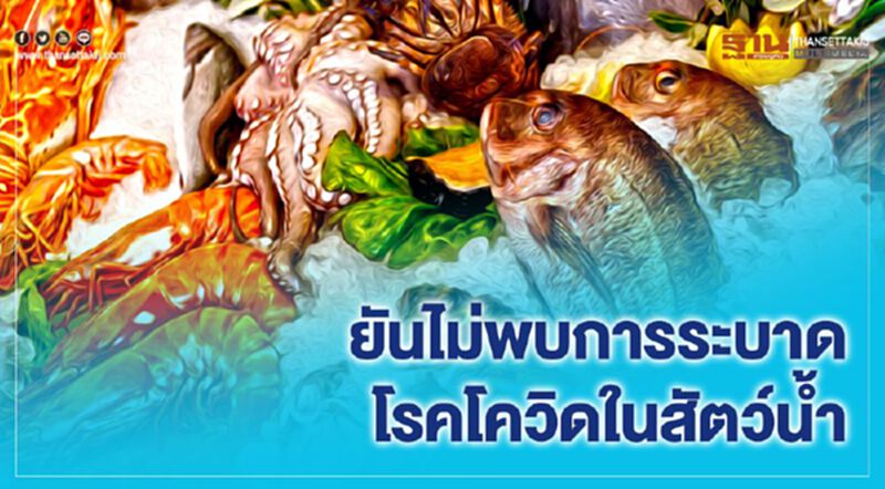 ยันไม่พบการระบาดโรคโควิดในสัตว์น้ำ ยันไม่พบการระบาดโรคโควิดในสัตว์น้ำ