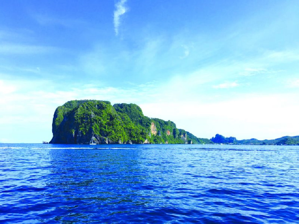 กอดป่ากอดทะเล ร่วมคืนความยั่งยืนสู่ธรรมชาติ