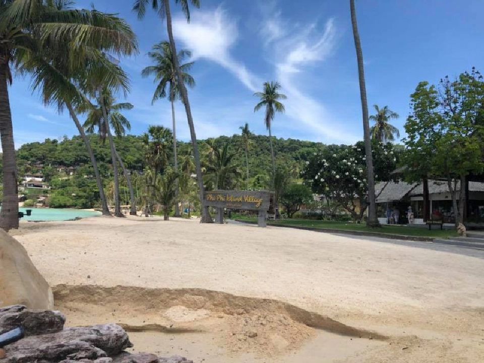 กอดป่ากอดทะเล ร่วมคืนความยั่งยืนสู่ธรรมชาติ