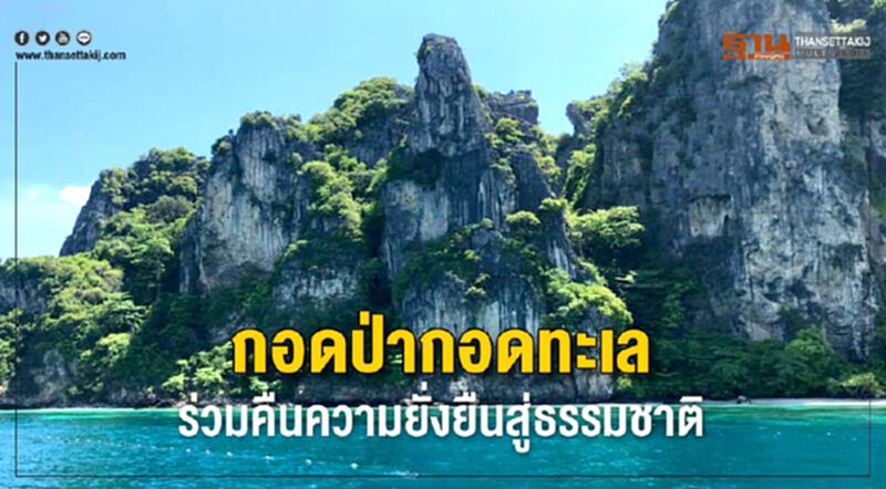 กอดป่ากอดทะเล ร่วมคืนความยั่งยืนสู่ธรรมชาติ กอดป่ากอดทะเล ร่วมคืนความยั่งยืนสู่ธรรมชาติ
