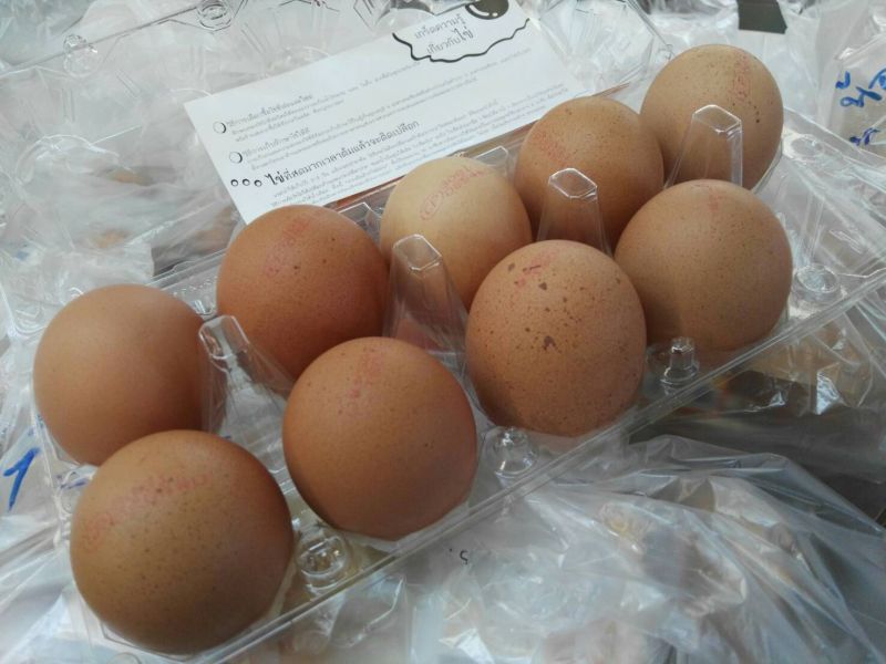 ซื้อไข่ไก่ต้องจองล่วงหน้า