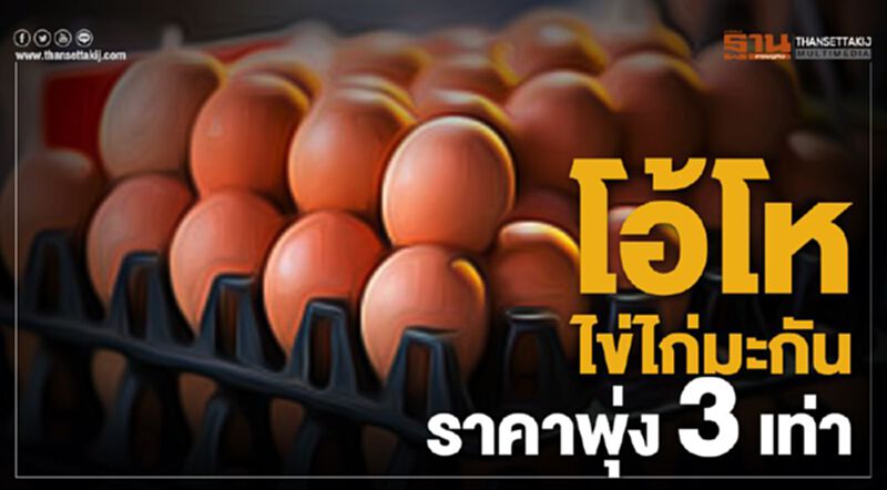 โอ้โห ไข่มะกันราคาพุ่ง3เท่า โอ้โห ไข่มะกันราคาพุ่ง3เท่า