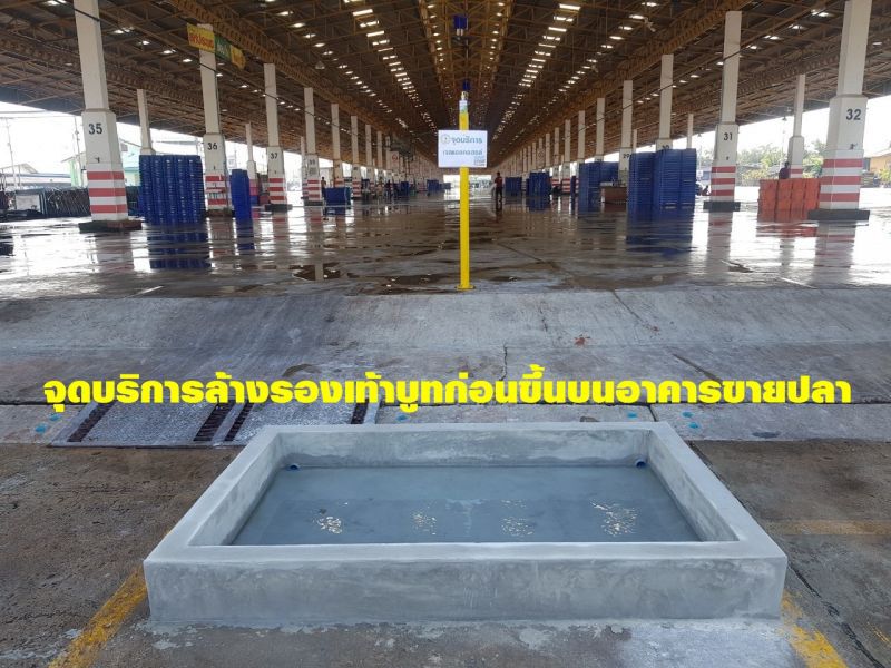 อ่วมสัตว์น้ำเทศทะลักไวรัสขย่มร้านเงียบ คนหาย