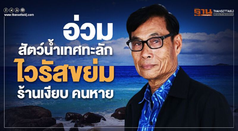 อ่วมสัตว์น้ำเทศทะลักไวรัสขย่มร้านเงียบ คนหาย อ่วมสัตว์น้ำเทศทะลักไวรัสขย่มร้านเงียบ คนหาย