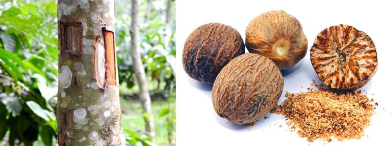 กับข้าวบ้านป่า : Drake a la’ orange เป็ด-ซอสส้ม