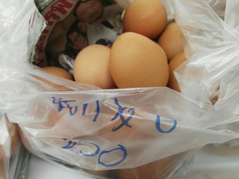สั่งตรวจสอบต้นตอไข่แพง