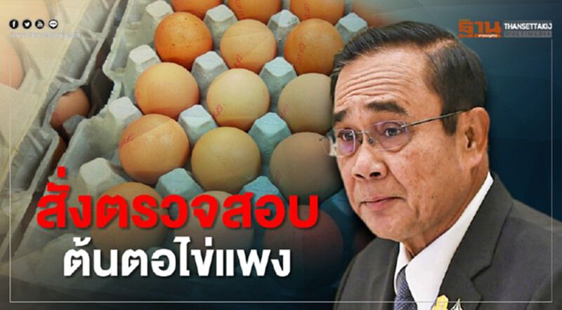 สั่งตรวจสอบต้นตอไข่แพง สั่งตรวจสอบต้นตอไข่แพง