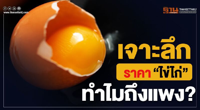 เจาะลึกราคา “ไข่ไก่” ทำไมถึงแพง? เจาะลึกราคา “ไข่ไก่” ทำไมถึงแพง?