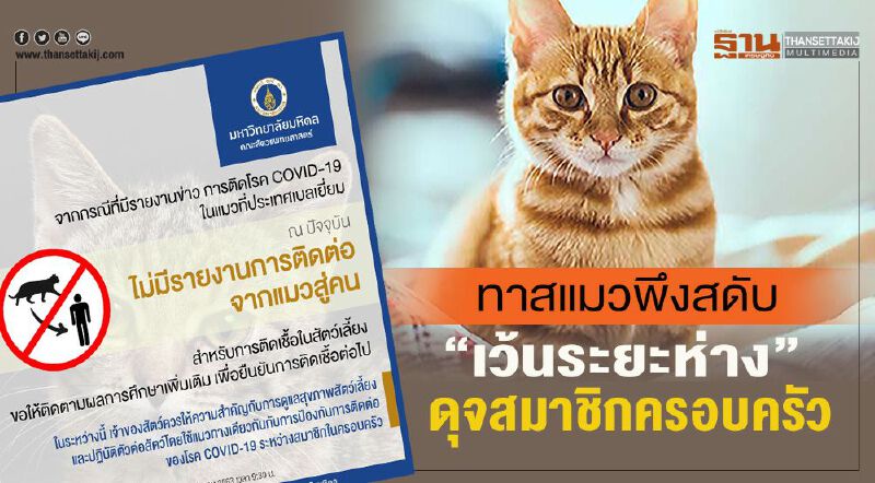 ทาสแมวพึงสดับ”เว้นระยะห่าง”ดุจสมาชิกครอบครัว