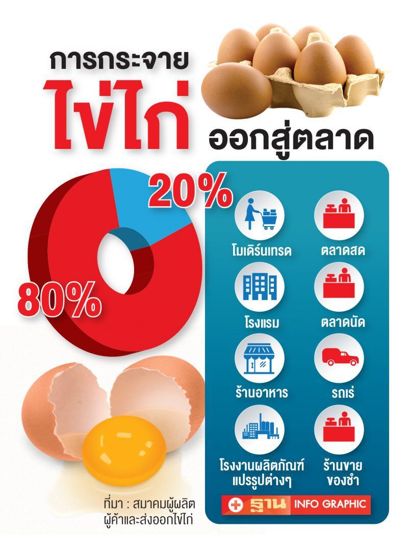 กัดฟันไม่ขึ้นราคาไข่ไก่คละหน้าฟาร์ม 2.80 บาท/ฟอง