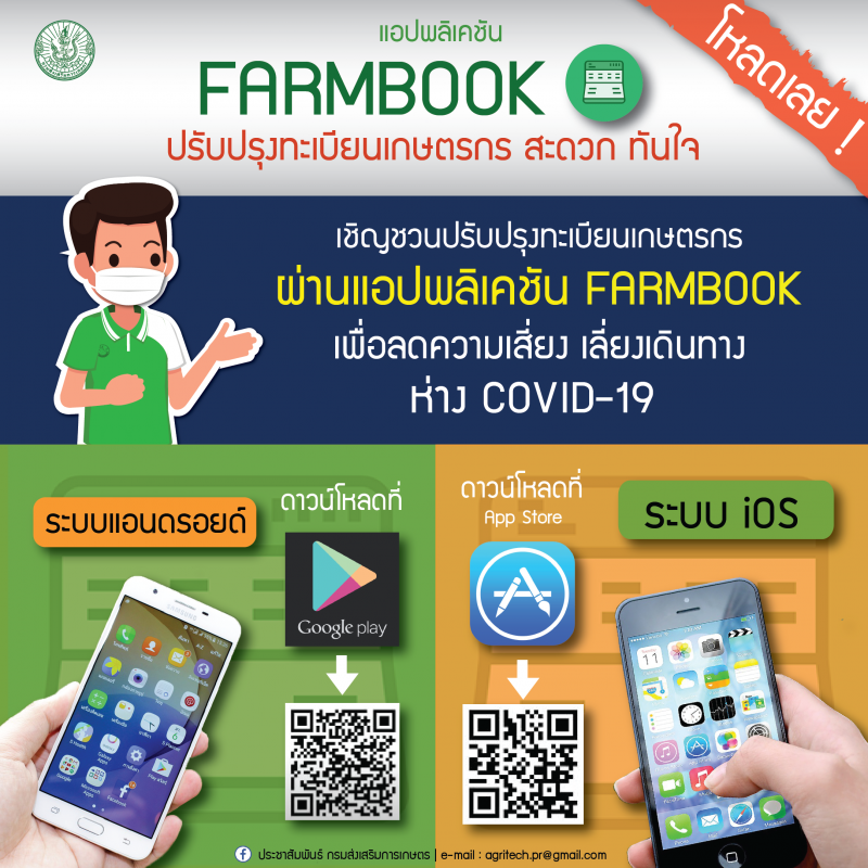 ข่าวดีขยายเวลาขึ้นทะเบียนเกษตรกรชดเชยรายได้ชาวสวนปาล์ม