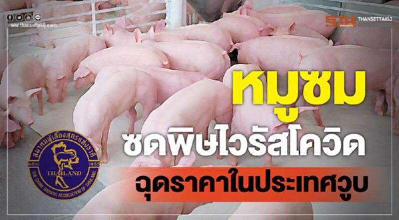 หมูซมซดพิษไวรัสโควิดฉุดราคาในประเทศวูบ หมูซมซดพิษไวรัสโควิดฉุดราคาในประเทศวูบ